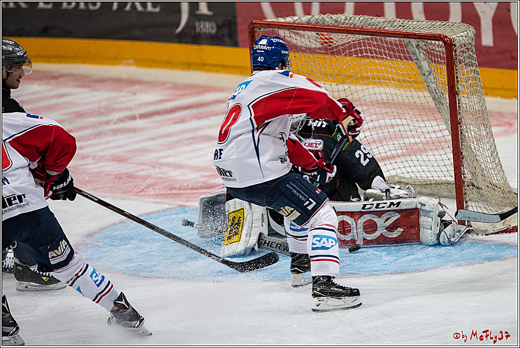DEL, Koelner Haie - Adler Mannheim, 05.02.2017